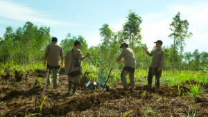 Restorasi Gambut, Ayo Jaga Gambut