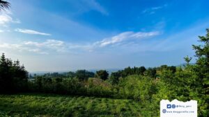 Perkebunan, dilihat dari batu tapak camping ground