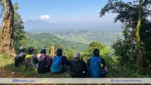 Hutan Indonesia Menyerap emisi karbon