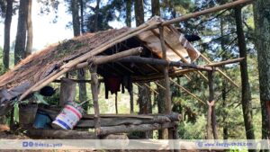 Hutan harus dilindungi