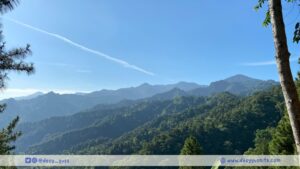 Hutan mencegah bencana alam