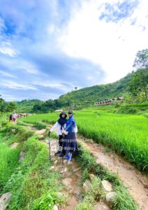 Sawah di Area Geocmp Sentul