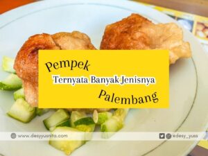 Pempek Palembang ternyata banyak jenisnya