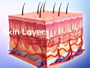 layers