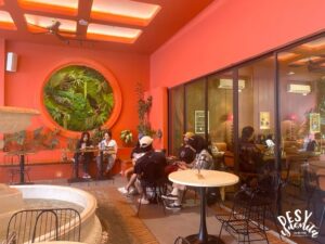 Cozy area Cafe Bogor