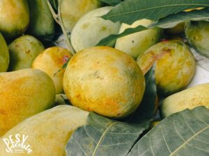 Mangga Indramayu